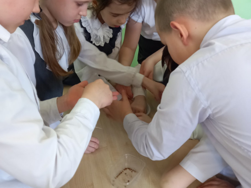 Я выбираю кашу!.