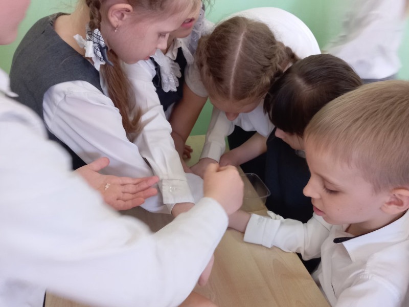 Я выбираю кашу!.